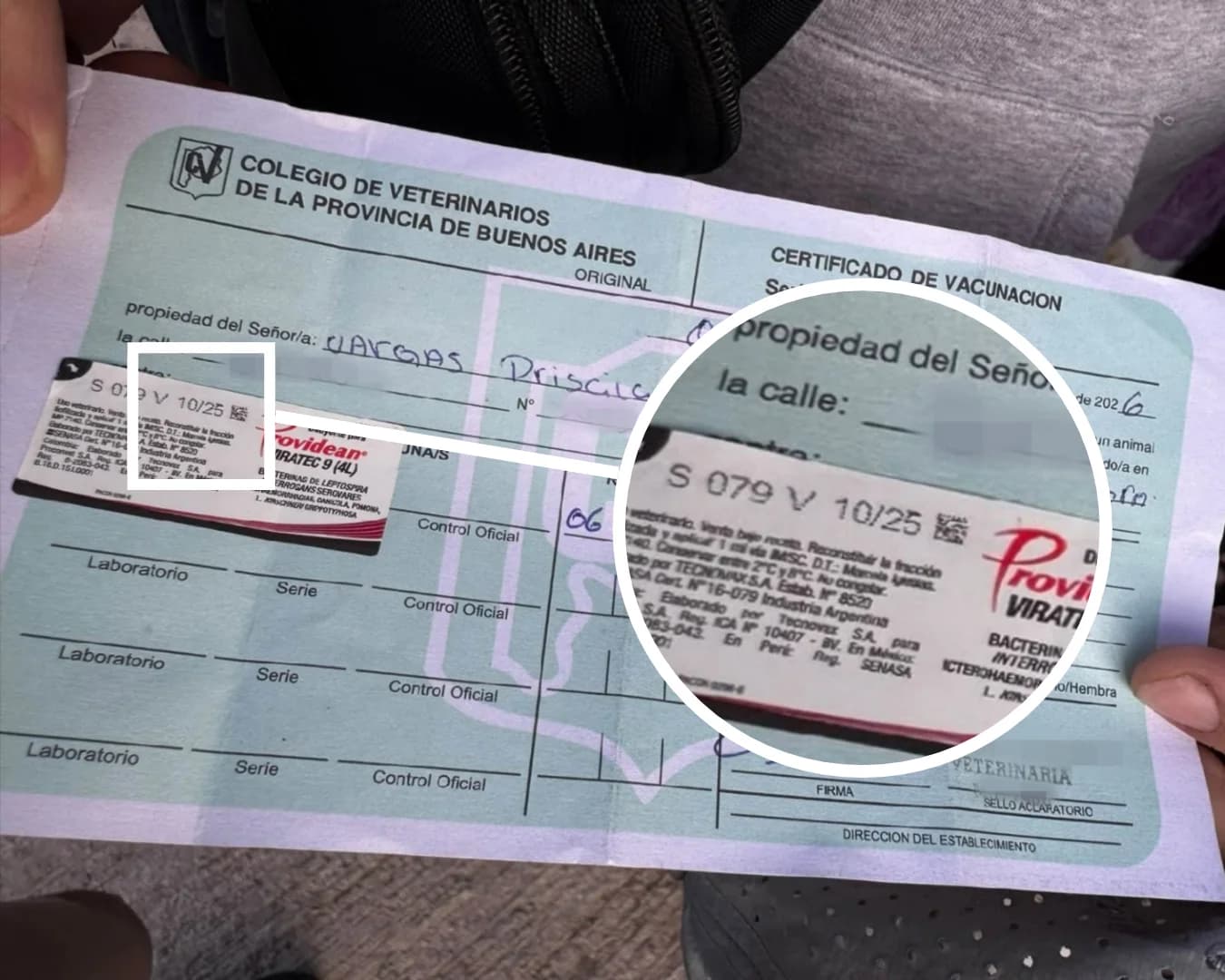 Denunció que le dieron a su cachorro una vacuna vencida hace un año - imagen de origen