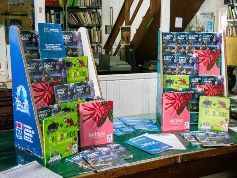 Lomas presentó una nueva colección de libros para fortalecer la alfabetización - imagen de origen