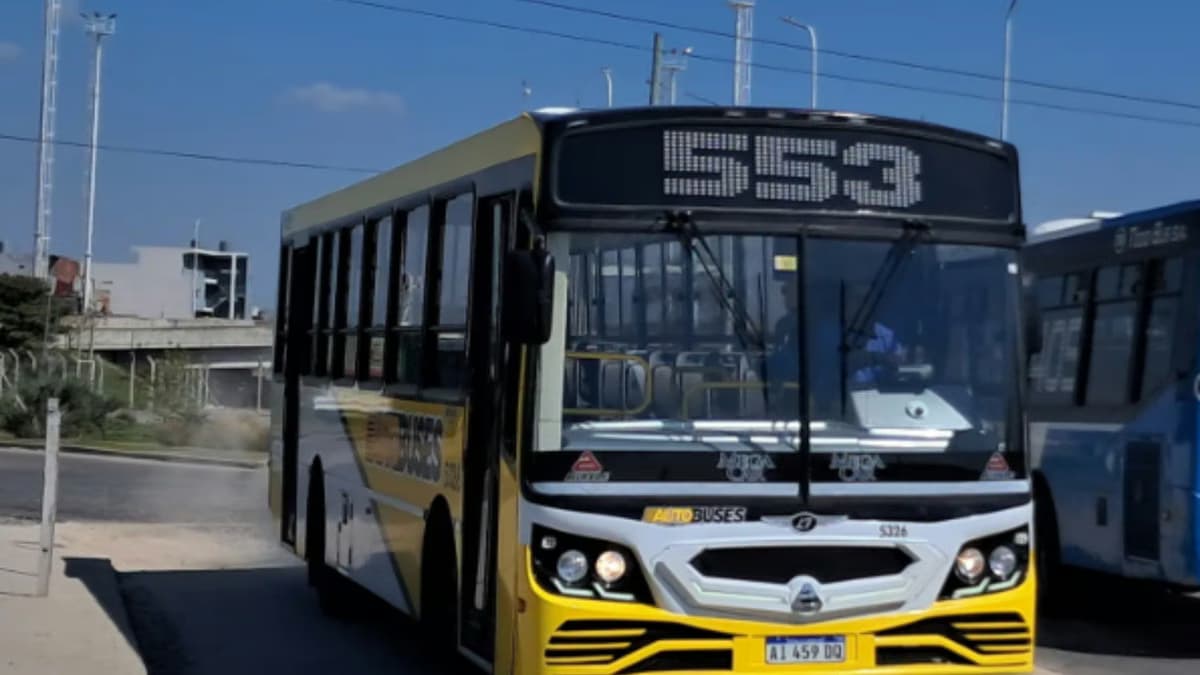 La víctima habría sido atacada a golpes durante el recorrido del colectivo, en Ingeniero Budge.