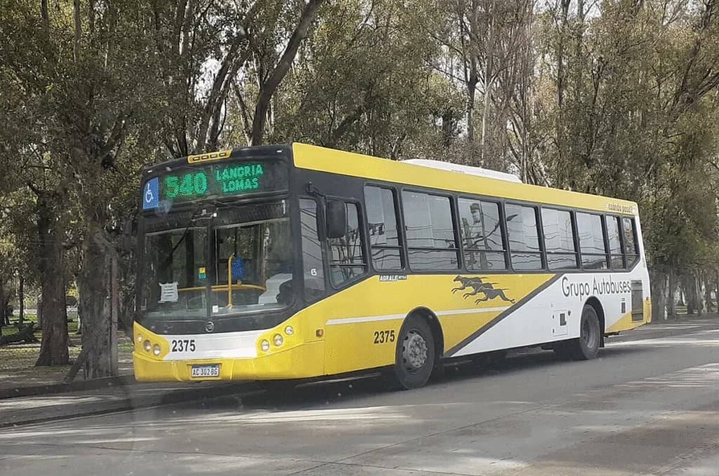 colectivo qr