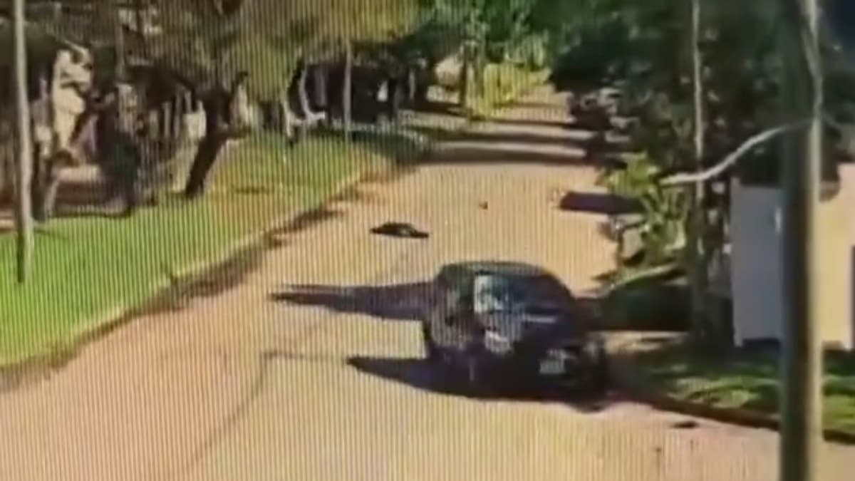 Indagaron al joven acusado de atropellar a su amigo en Temperley tras una discusión - imagen de origen