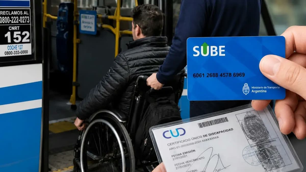Líneas de colectivo advirtieron la cantidad de credenciales apócrifas.