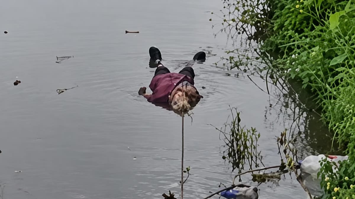 Un vecino rescató a una mujer de un arroyo ubicado sobre la calle Enrique Santamarina al 2097, en El Jagüel, luego de que dos vecinas advirtieran la situación.